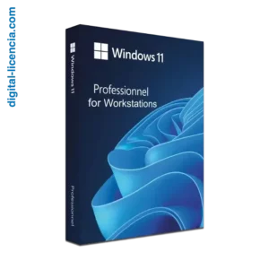 clave windows 11 pro for workstations