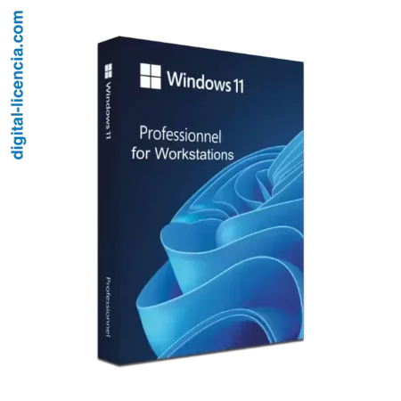 clave windows 11 pro for workstations