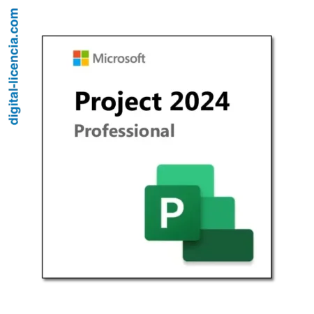 licencia project pro 2024